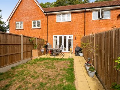 Picture 14